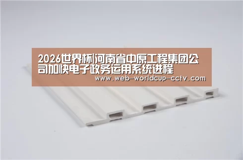 2026世界杯|河南省中原工程集团公司加快电子政务运用系统进程(图2) 2026世界杯