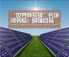‘世界杯买球’长垣河务局:明确目标 力促防洪工程建设(图1) 2026世界杯官网