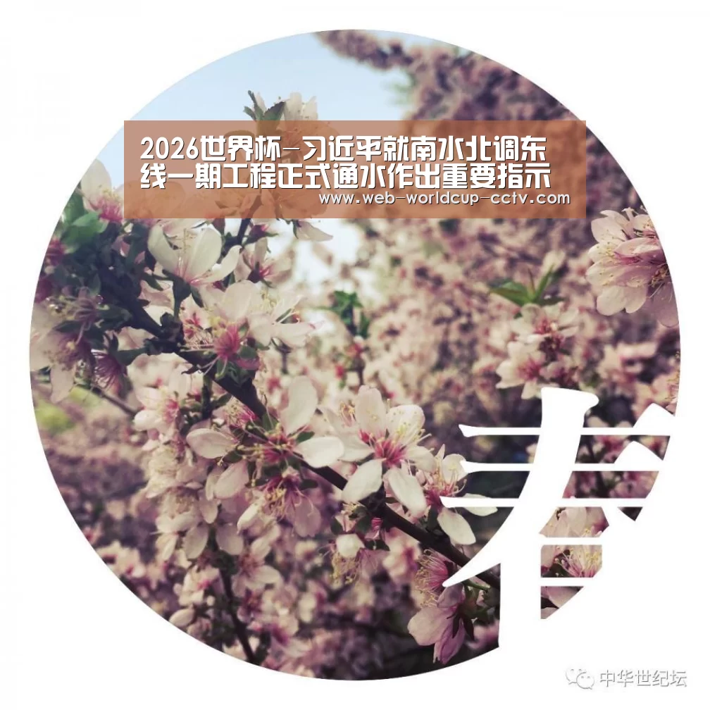 2026世界杯-习近平就南水北调东线一期工程正式通水作出重要指示要求(图2) 世界杯买球