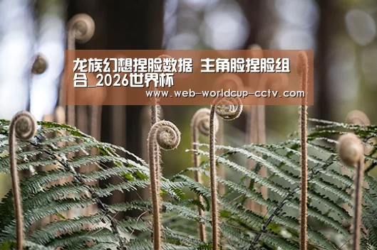 2026世界杯官网